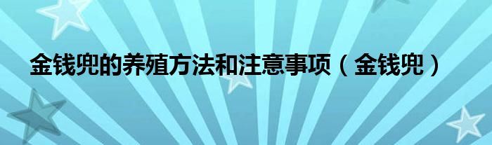 金錢兜的養(yǎng)殖方法和注意事項(xiàng)（金錢兜）