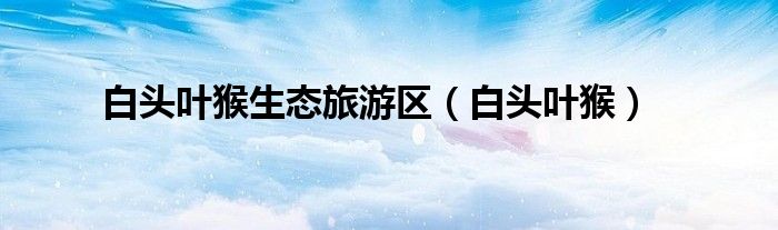 白頭葉猴生態(tài)旅游區(qū)（白頭葉猴）