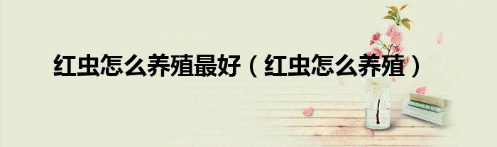 紅蟲怎么養(yǎng)殖最好（紅蟲怎么養(yǎng)殖）