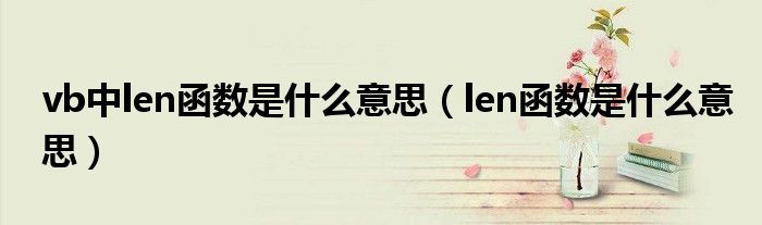 vb中l(wèi)en函數(shù)是什么意思（len函數(shù)是什么意思）