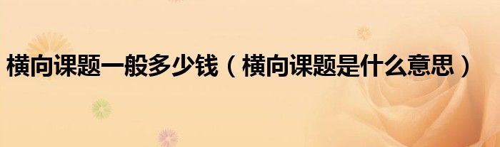 橫向課題一般多少錢（橫向課題是什么意思）