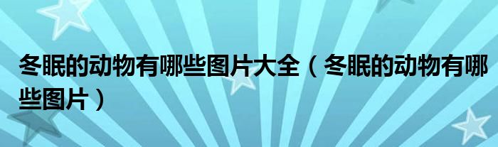 冬眠的動物有哪些圖片大全（冬眠的動物有哪些圖片）