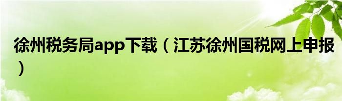 徐州稅務(wù)局app下載（江蘇徐州國稅網(wǎng)上申報）