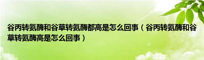 谷丙轉(zhuǎn)氨酶和谷草轉(zhuǎn)氨酶都高是怎么回事（谷丙轉(zhuǎn)氨酶和谷草轉(zhuǎn)氨酶高是怎么回事）