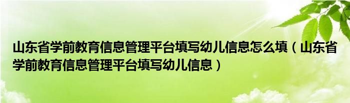 山東省學前教育信息管理平臺填寫幼兒信息怎么填（山東省學前教育信息管理平臺填寫幼兒信息）
