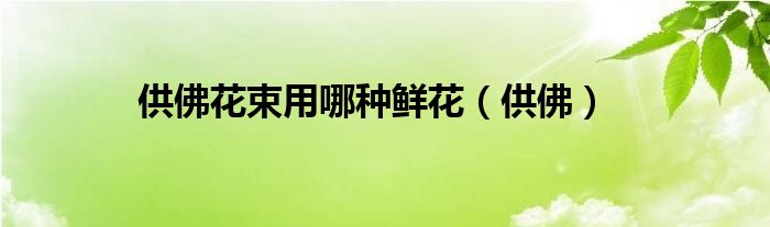 供佛花束用哪種鮮花（供佛）