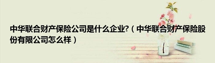 中華聯(lián)合財(cái)產(chǎn)保險(xiǎn)公司是什么企業(yè)?（中華聯(lián)合財(cái)產(chǎn)保險(xiǎn)股份有限公司怎么樣）
