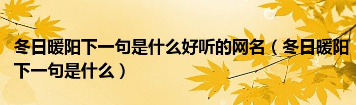 冬日暖陽(yáng)下一句是什么好聽的網(wǎng)名（冬日暖陽(yáng)下一句是什么）