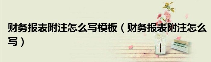 財(cái)務(wù)報(bào)表附注怎么寫模板（財(cái)務(wù)報(bào)表附注怎么寫）