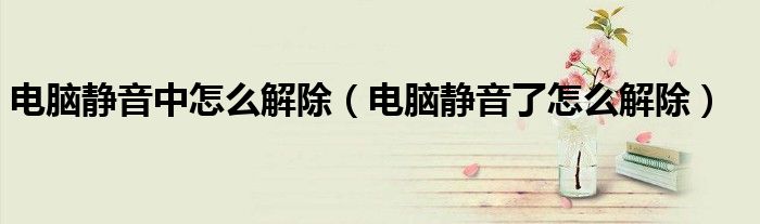 電腦靜音中怎么解除（電腦靜音了怎么解除）