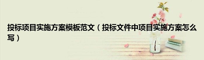 投標項目實施方案模板范文（投標文件中項目實施方案怎么寫）