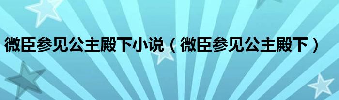 微臣參見公主殿下小說（微臣參見公主殿下）