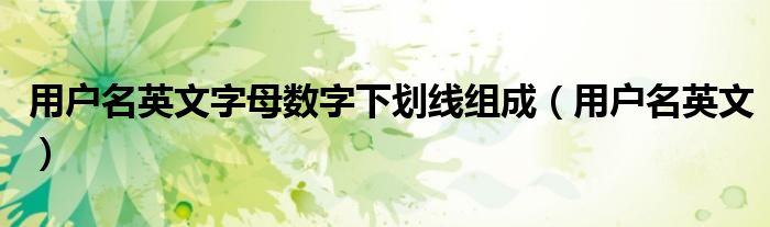 用戶名英文字母數(shù)字下劃線組成（用戶名英文）
