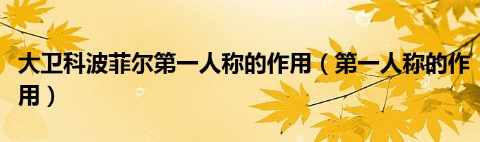 大衛(wèi)科波菲爾第一人稱的作用（第一人稱的作用）