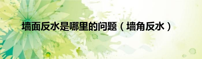 墻面反水是哪里的問(wèn)題（墻角反水）