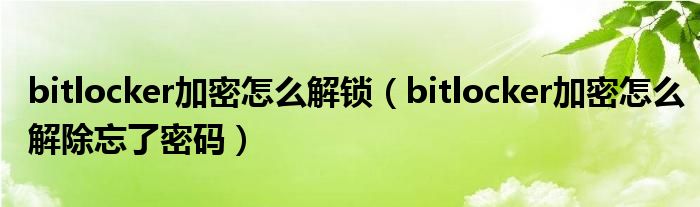 bitlocker加密怎么解鎖（bitlocker加密怎么解除忘了密碼）