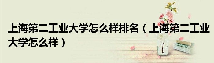 上海第二工業(yè)大學(xué)怎么樣排名（上海第二工業(yè)大學(xué)怎么樣）