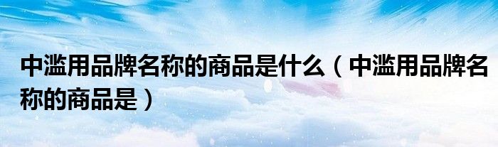 中濫用品牌名稱的商品是什么（中濫用品牌名稱的商品是）
