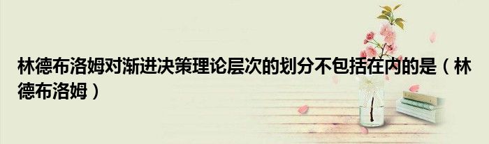 林德布洛姆對漸進決策理論層次的劃分不包括在內的是（林德布洛姆）