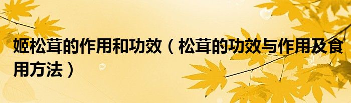 姬松茸的作用和功效（松茸的功效與作用及食用方法）