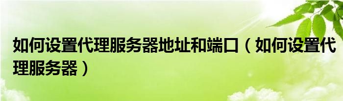 如何設(shè)置代理服務(wù)器地址和端口（如何設(shè)置代理服務(wù)器）