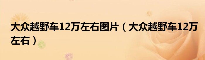 大眾越野車12萬左右圖片（大眾越野車12萬左右）