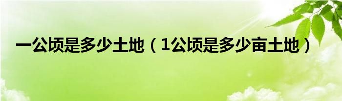 一公頃是多少土地（1公頃是多少畝土地）