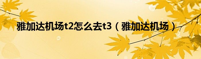 雅加達(dá)機(jī)場(chǎng)t2怎么去t3（雅加達(dá)機(jī)場(chǎng)）