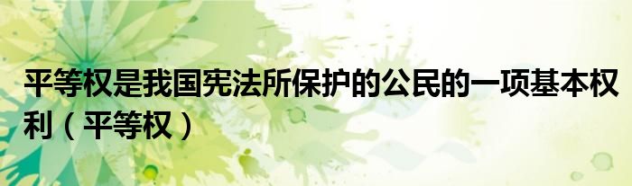 平等權(quán)是我國憲法所保護(hù)的公民的一項基本權(quán)利（平等權(quán)）