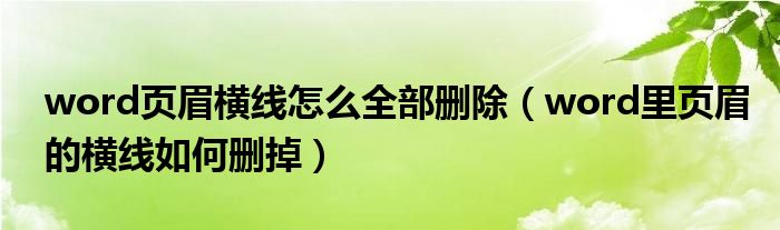 word頁眉橫線怎么全部刪除（word里頁眉的橫線如何刪掉）