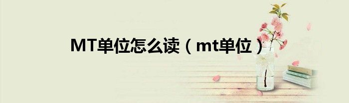 MT單位怎么讀（mt單位）