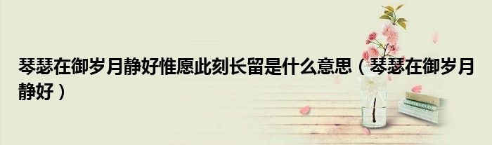 琴瑟在御歲月靜好惟愿此刻長(zhǎng)留是什么意思（琴瑟在御歲月靜好）
