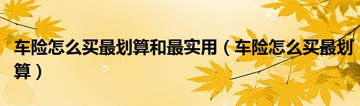 車險(xiǎn)怎么買最劃算和最實(shí)用（車險(xiǎn)怎么買最劃算）