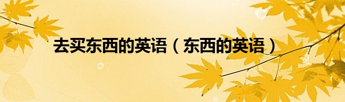 去買東西的英語（東西的英語）