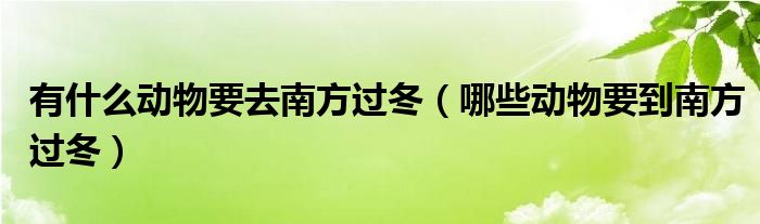 有什么動物要去南方過冬（哪些動物要到南方過冬）
