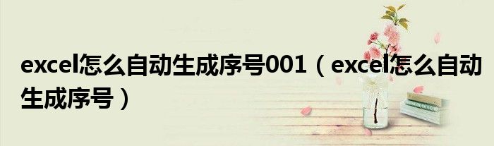 excel怎么自動生成序號001（excel怎么自動生成序號）