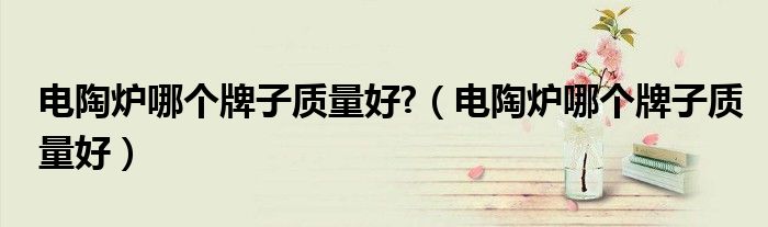 電陶爐哪個(gè)牌子質(zhì)量好?（電陶爐哪個(gè)牌子質(zhì)量好）