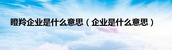 瞪羚企業(yè)是什么意思（企業(yè)是什么意思）