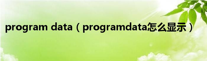 program data（programdata怎么顯示）
