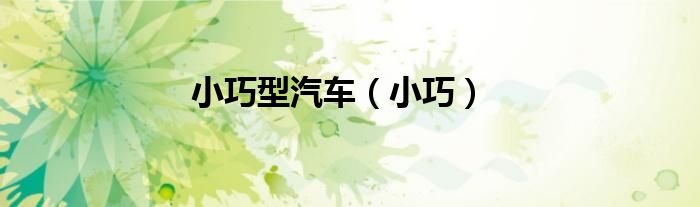 小巧型汽車（小巧）