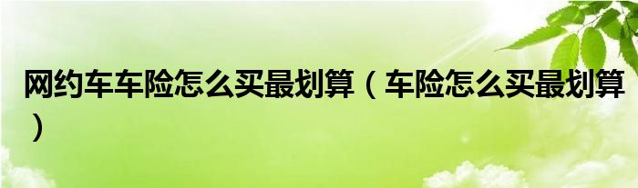 網(wǎng)約車車險(xiǎn)怎么買最劃算（車險(xiǎn)怎么買最劃算）