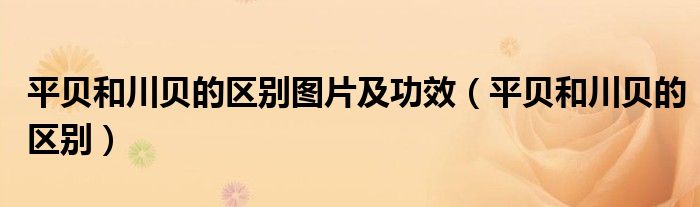 平貝和川貝的區(qū)別圖片及功效（平貝和川貝的區(qū)別）