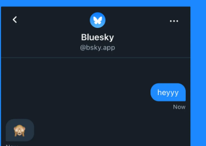 BlueSkyDM可能已經(jīng)存在但你可能還不應(yīng)該使用它們