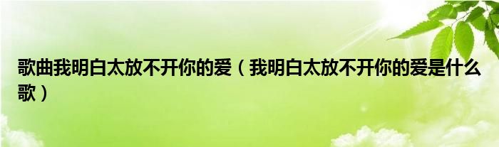 歌曲我明白太放不開你的愛（我明白太放不開你的愛是什么歌）