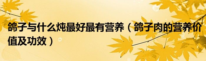 鴿子與什么燉最好最有營(yíng)養(yǎng)（鴿子肉的營(yíng)養(yǎng)價(jià)值及功效）