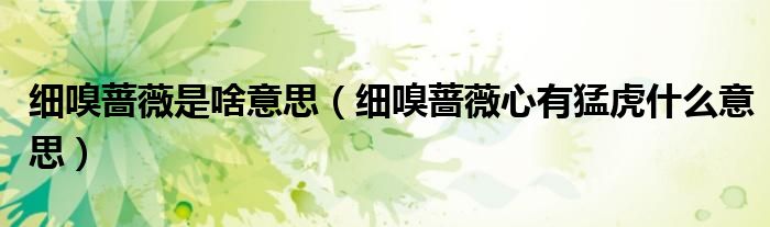 細嗅薔薇是啥意思（細嗅薔薇心有猛虎什么意思）