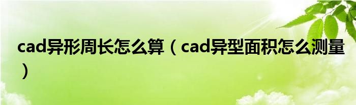 cad異形周長怎么算（cad異型面積怎么測量）