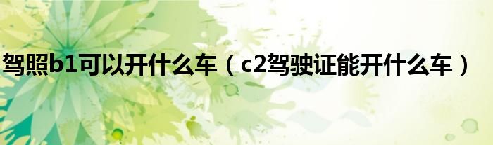 駕照b1可以開什么車（c2駕駛證能開什么車）