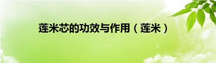 蓮米芯的功效與作用（蓮米）
