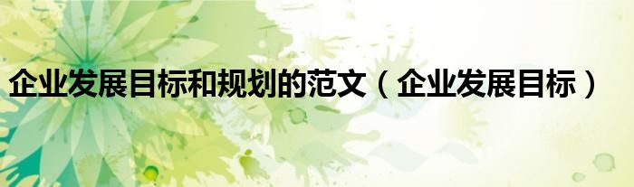 企業(yè)發(fā)展目標(biāo)和規(guī)劃的范文（企業(yè)發(fā)展目標(biāo)）